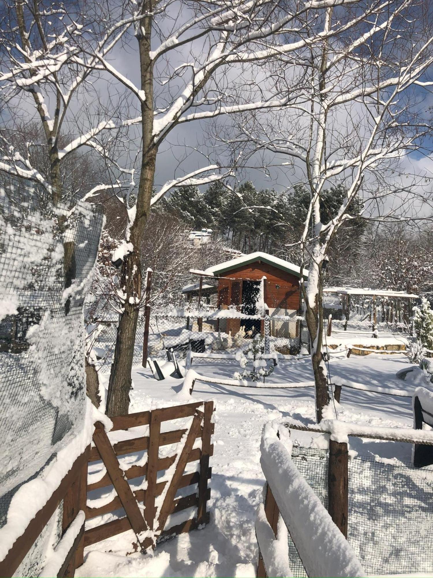 Kerpe Diem Otel Екстериор снимка