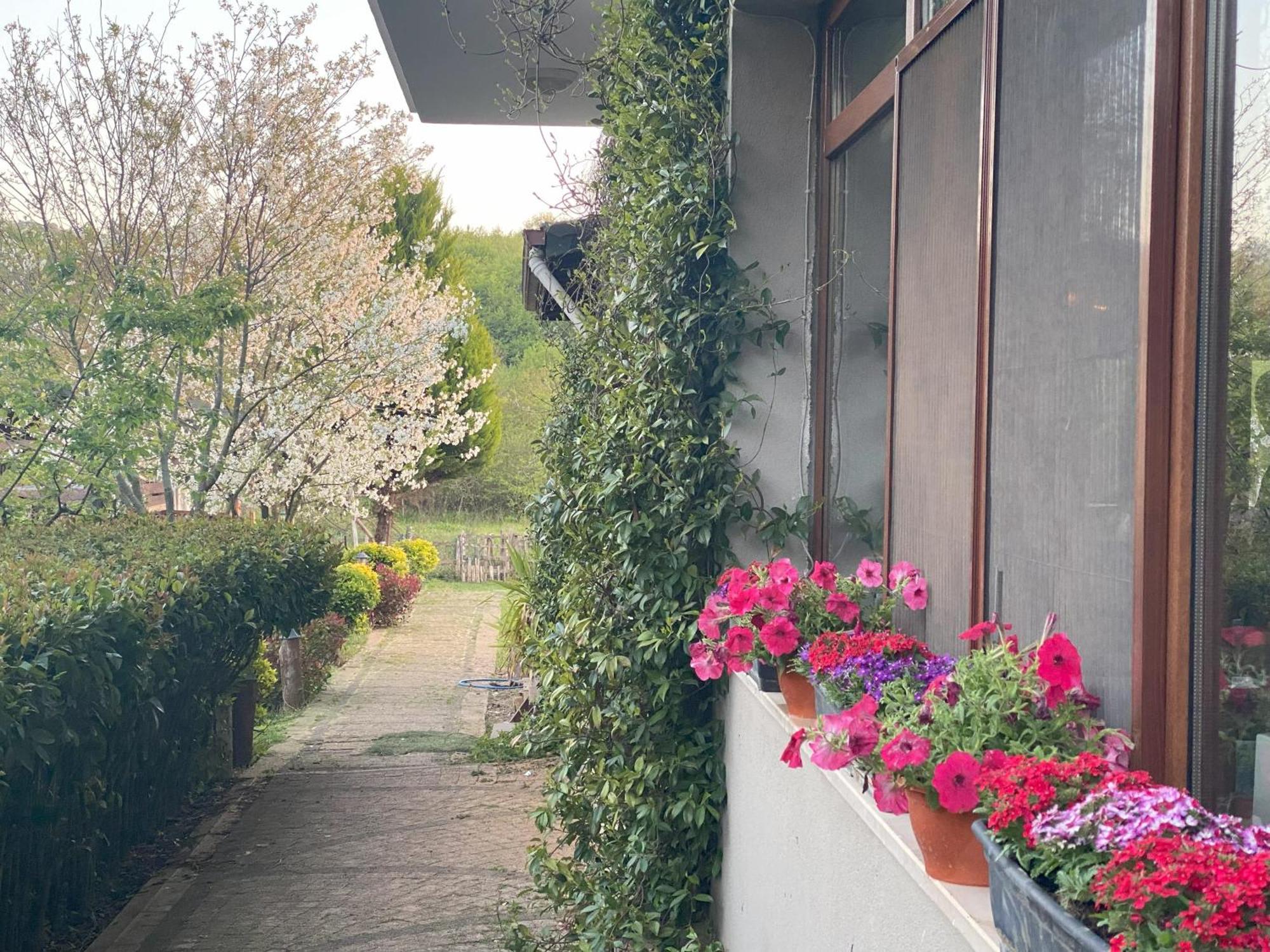 Kerpe Diem Otel Екстериор снимка