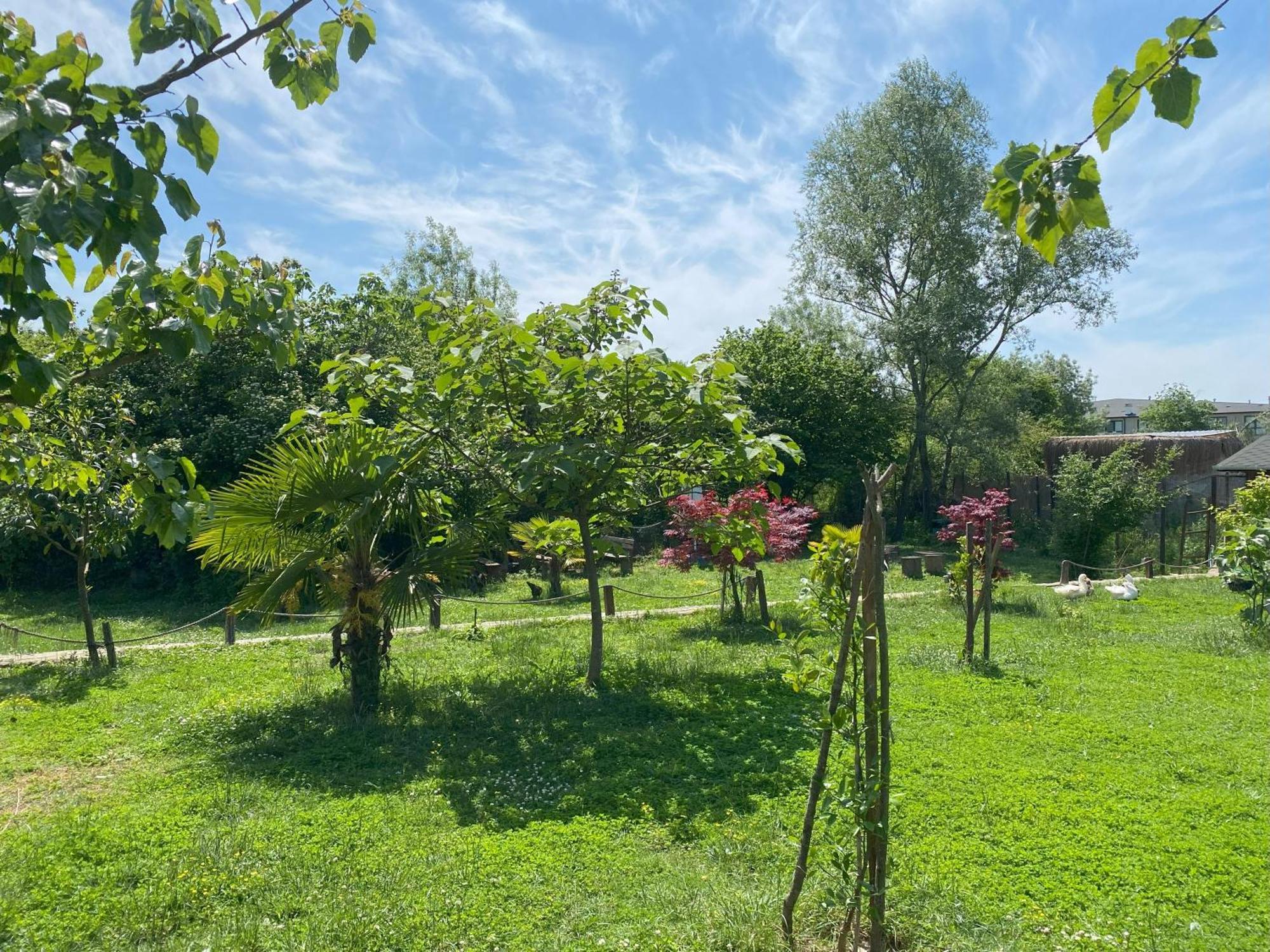 Kerpe Diem Otel Екстериор снимка