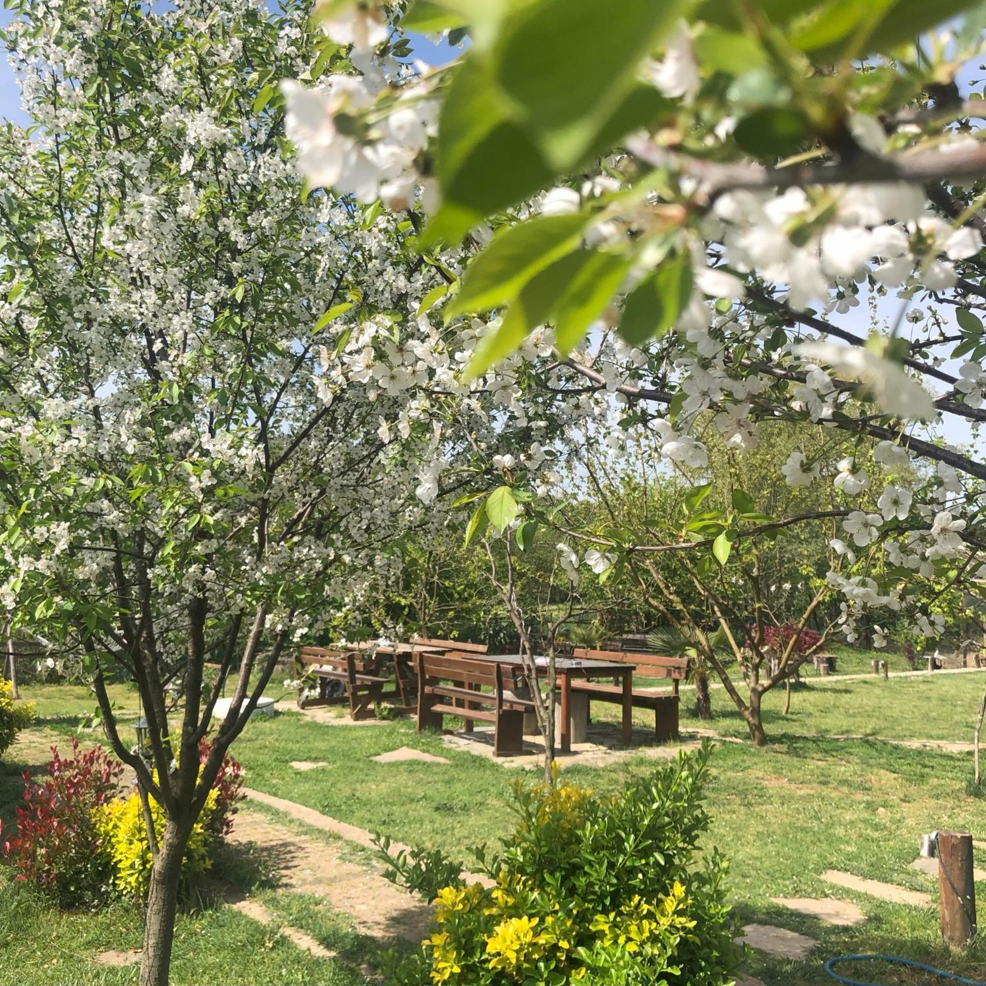 Kerpe Diem Otel Екстериор снимка