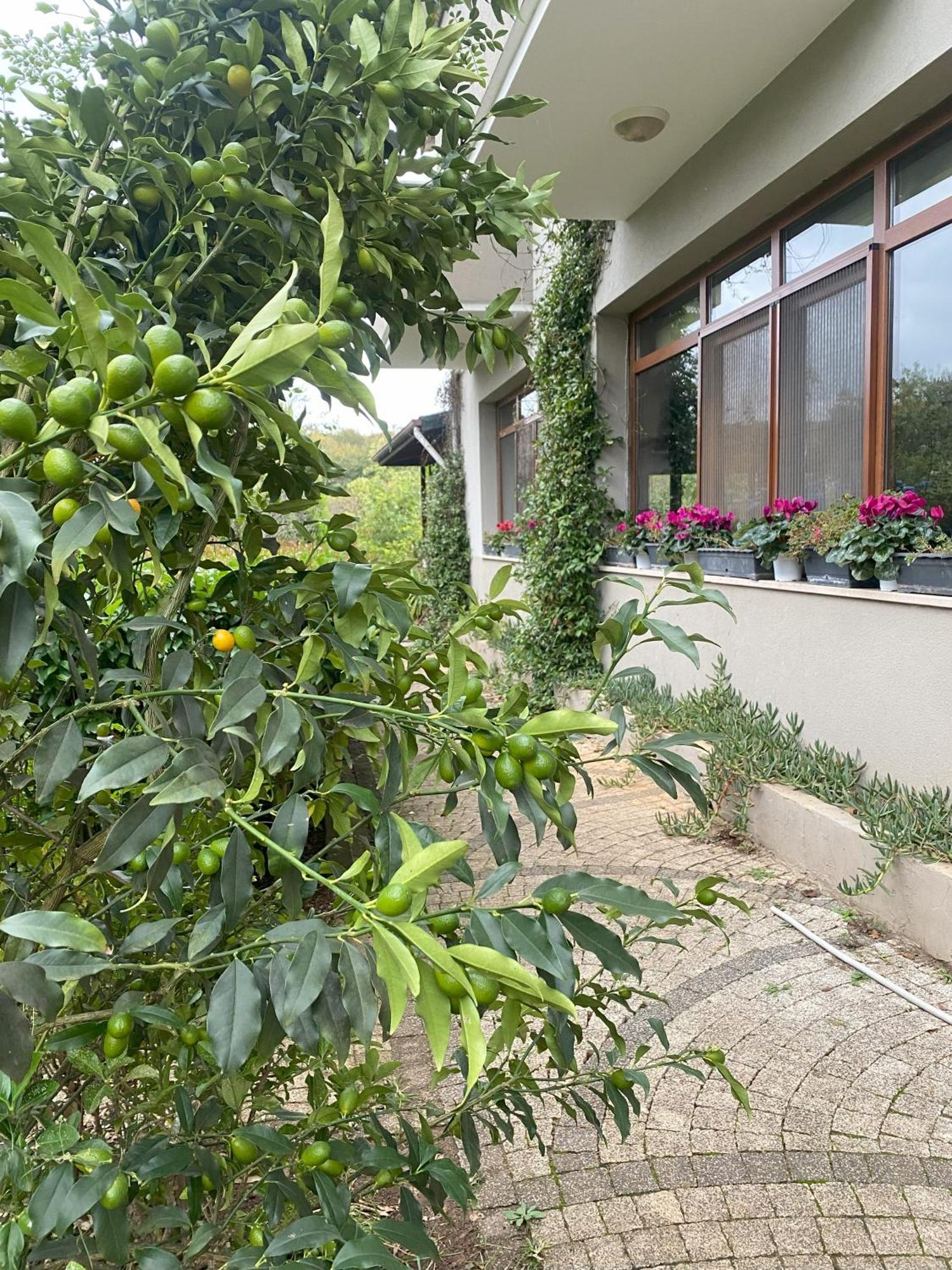 Kerpe Diem Otel Екстериор снимка