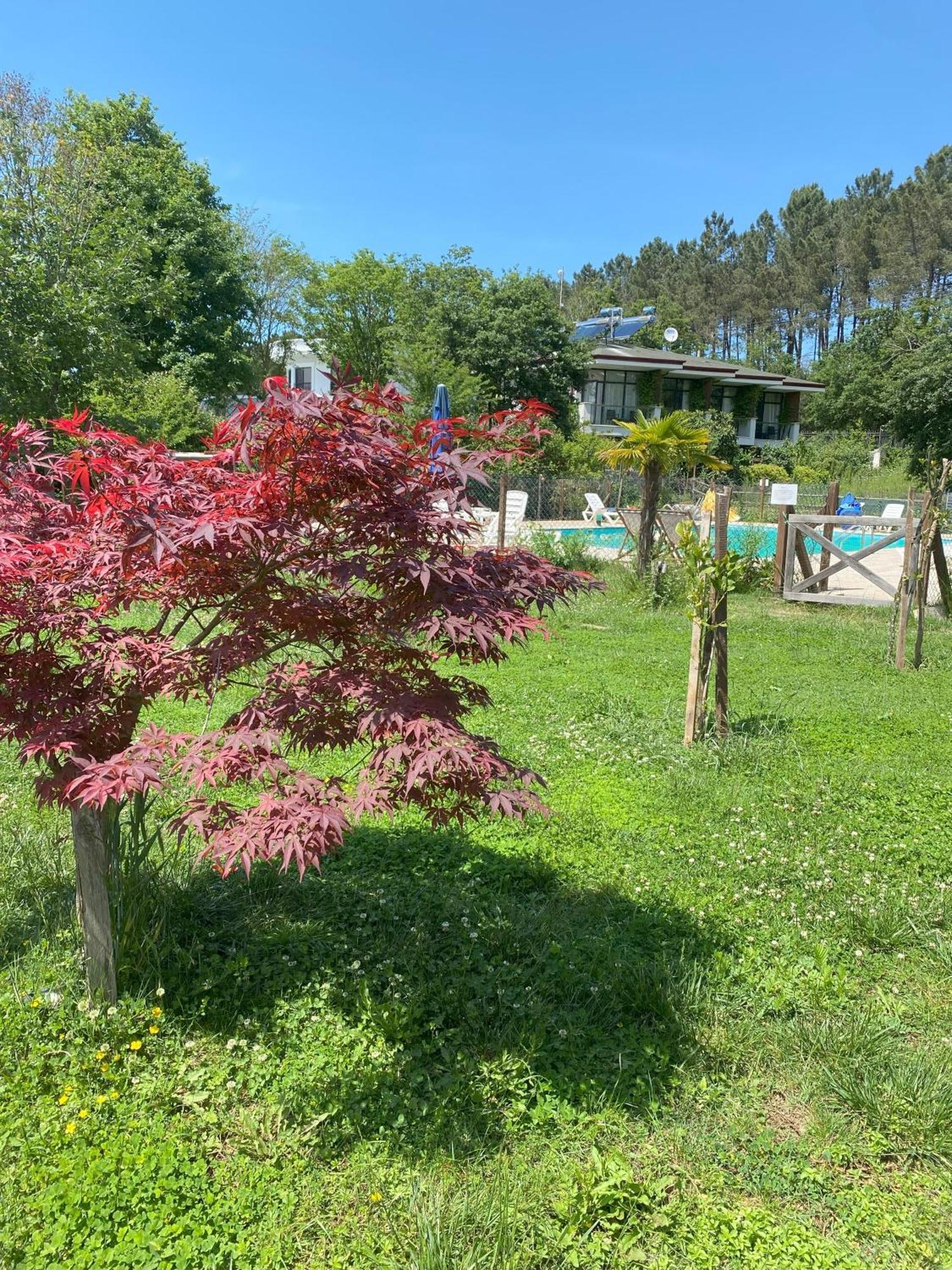 Kerpe Diem Otel Екстериор снимка